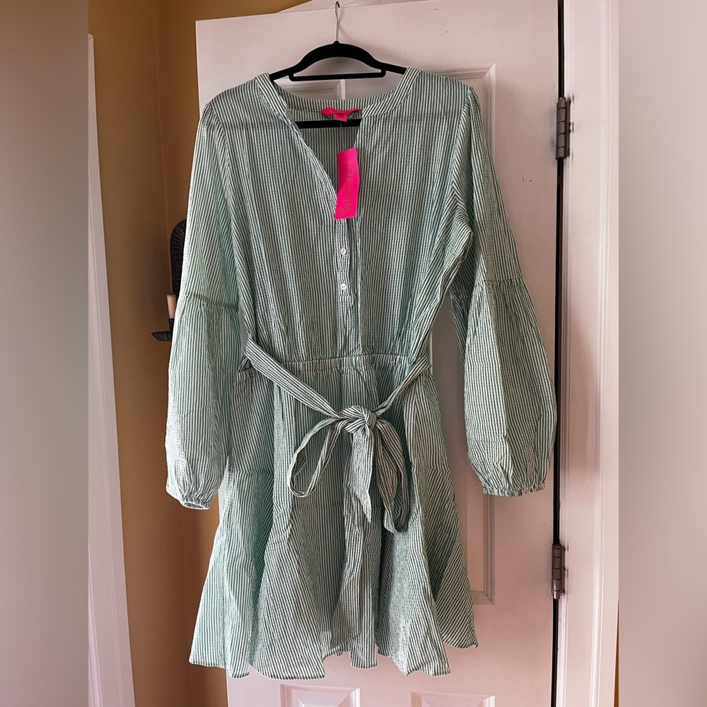 Lilly Pulitzer Green Striped dress